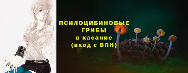 марки lsd Новозыбков