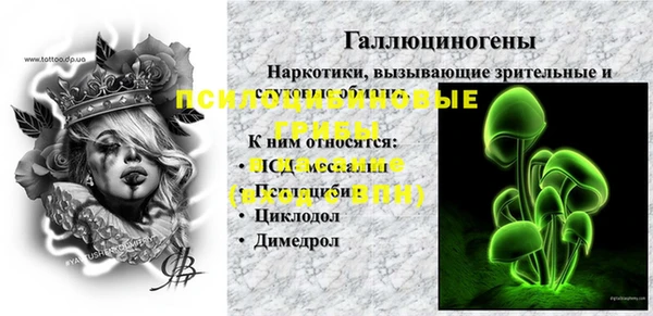 прущие крисы Новодвинск