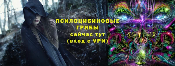 прущие крисы Новодвинск