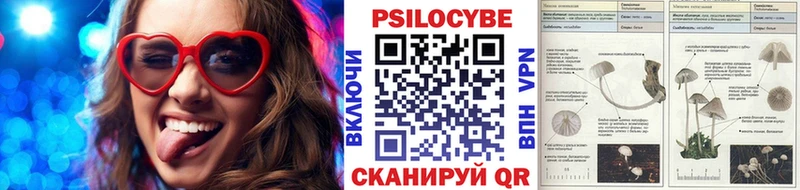 Псилоцибиновые грибы прущие грибы  omg ТОР  Тара 