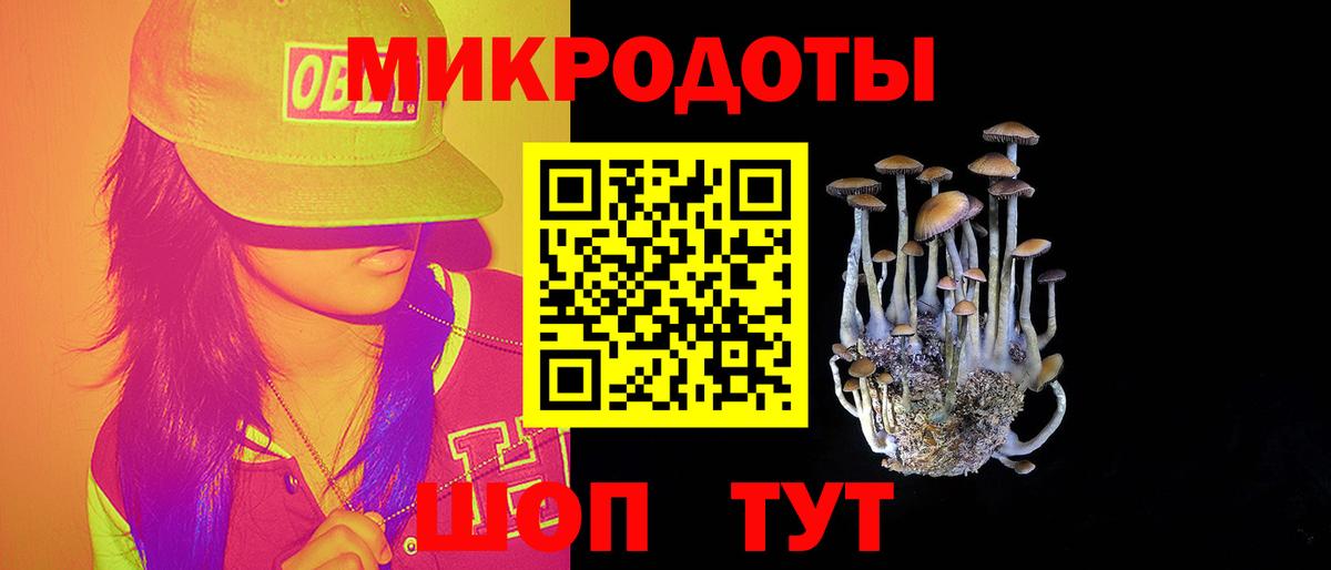 Галлюциногенные грибы MAGIC MUSHROOMS Тара