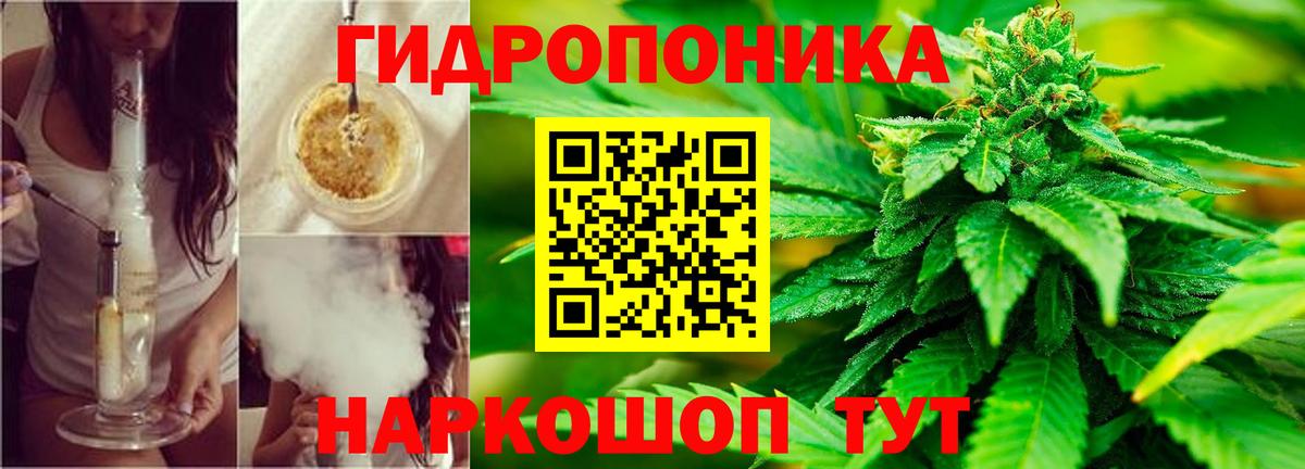 Бошки Шишки AK-47 Тара
